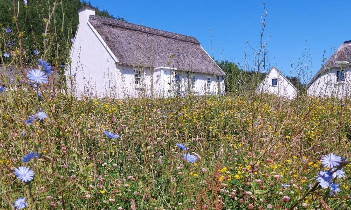Corofin Lake Cottages 외부 사진